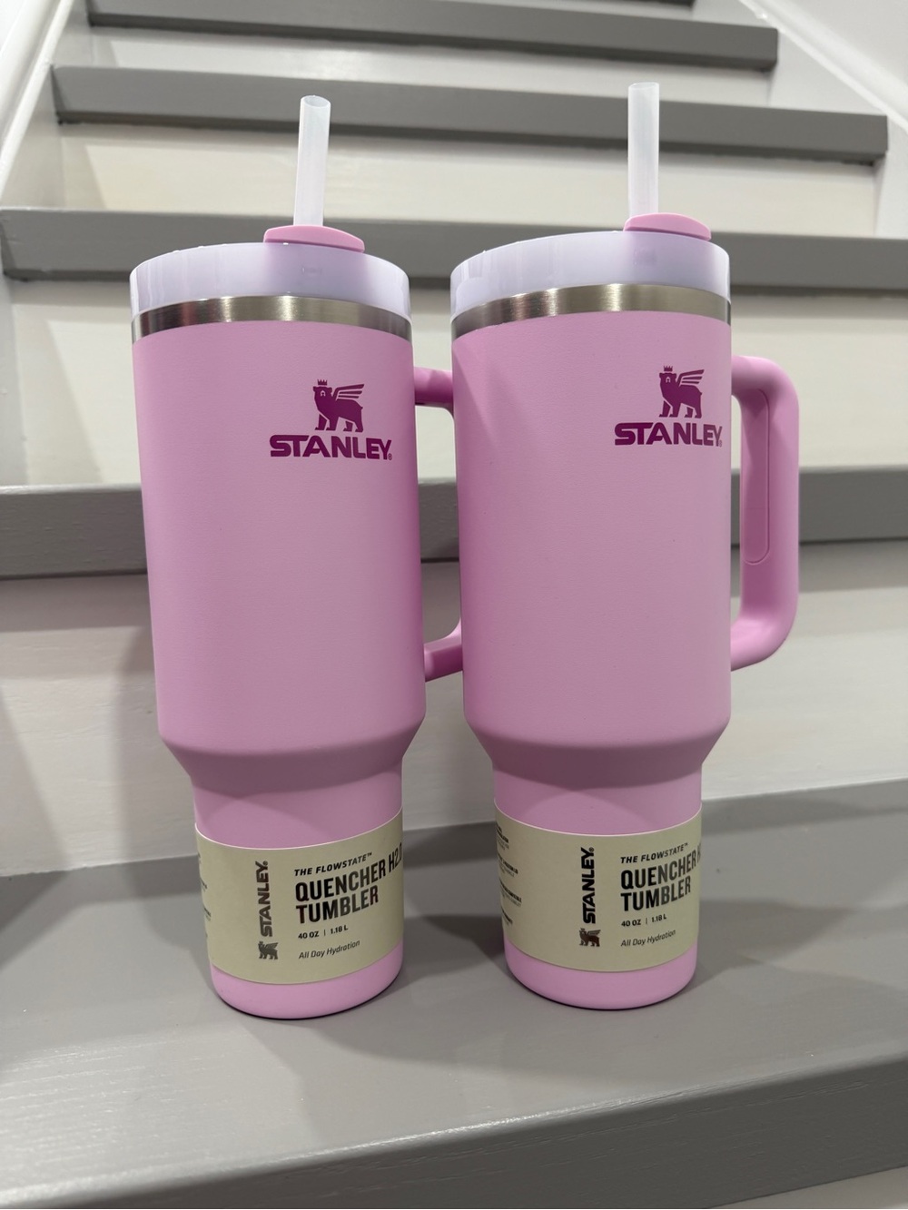Stanley Pink Quencher H2.0 2 Tumblers with Straws